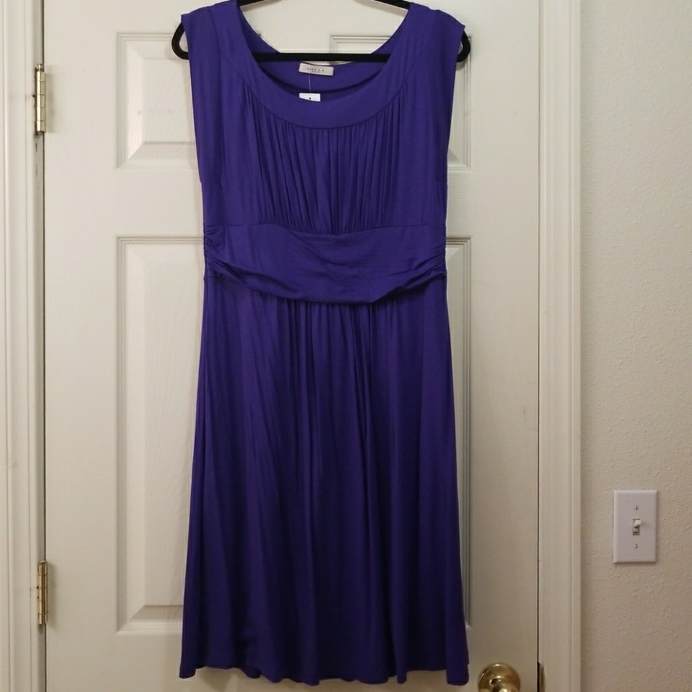 NWT Gilli Dress with Slip XXL